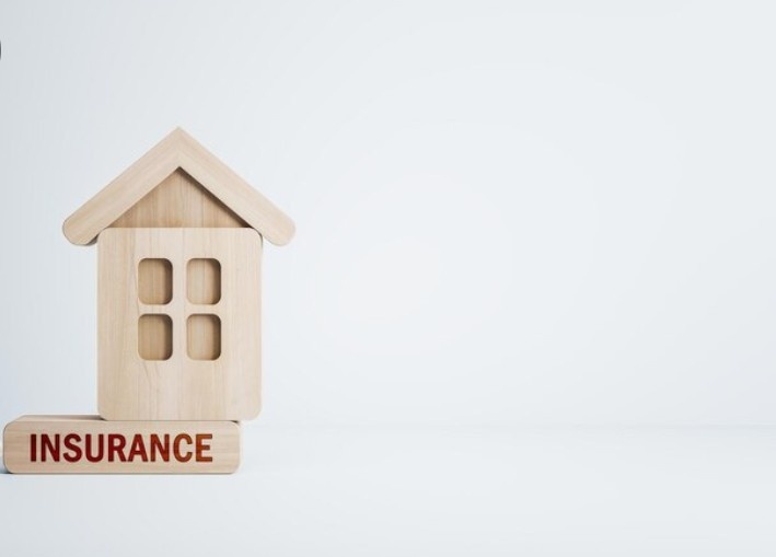 insurance house showpiece